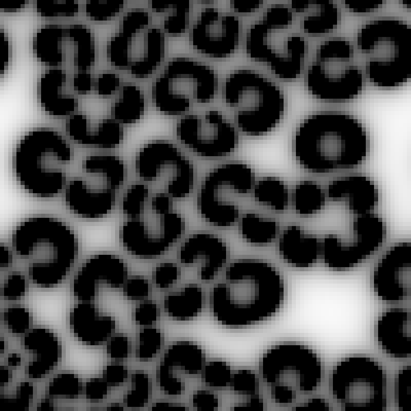 Figure 3: A comparison of RD-generated patterns with natural examples—leopard.