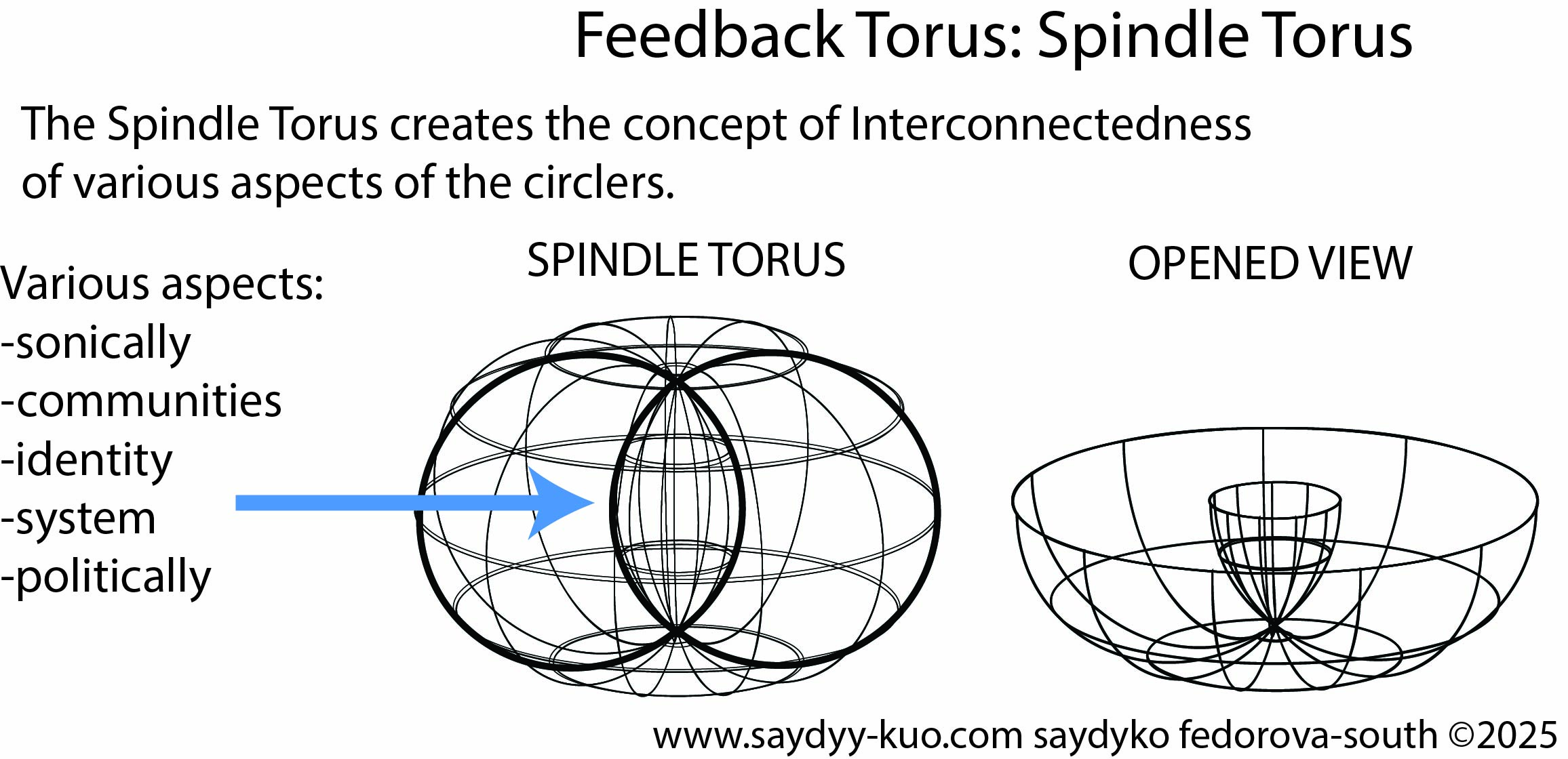Figure 1.5. Feedback Torus: Spindle Torus, by Saydyko Fedorova-South, 2025.