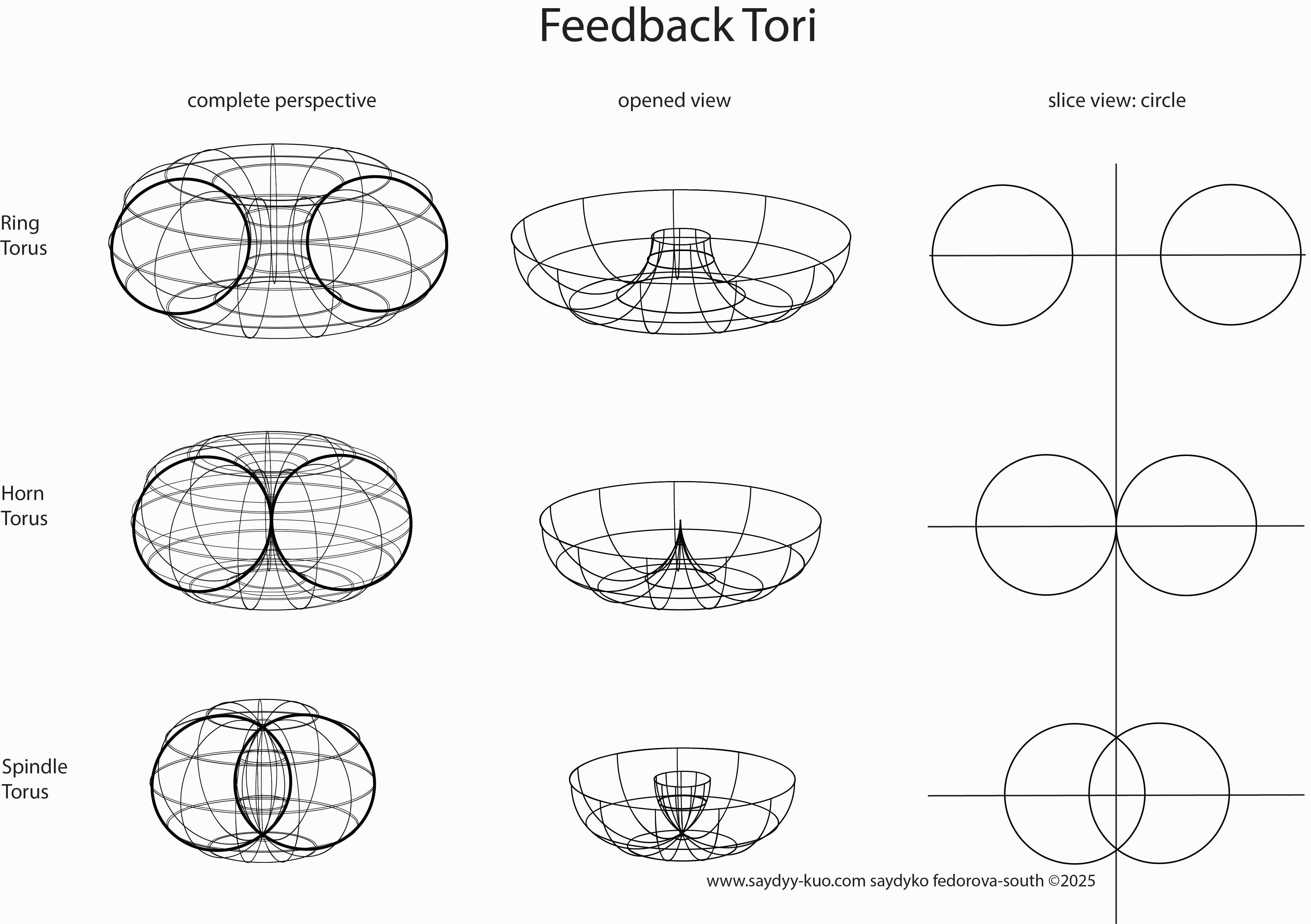 Figure 1.1: Explanative illustration of concepts of the Feedback Torus: ring, horn and spindle torus by Saydyko Fedorova-South (2025).