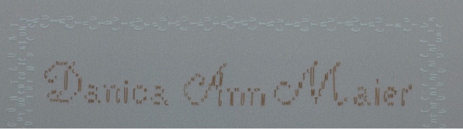 Figure 8. “Skein: DAM Cunt”, 2014, detail of 20 cm x 15 cm drawing on Mylar mounted onto aluminium. Photo credit: David Rowen.