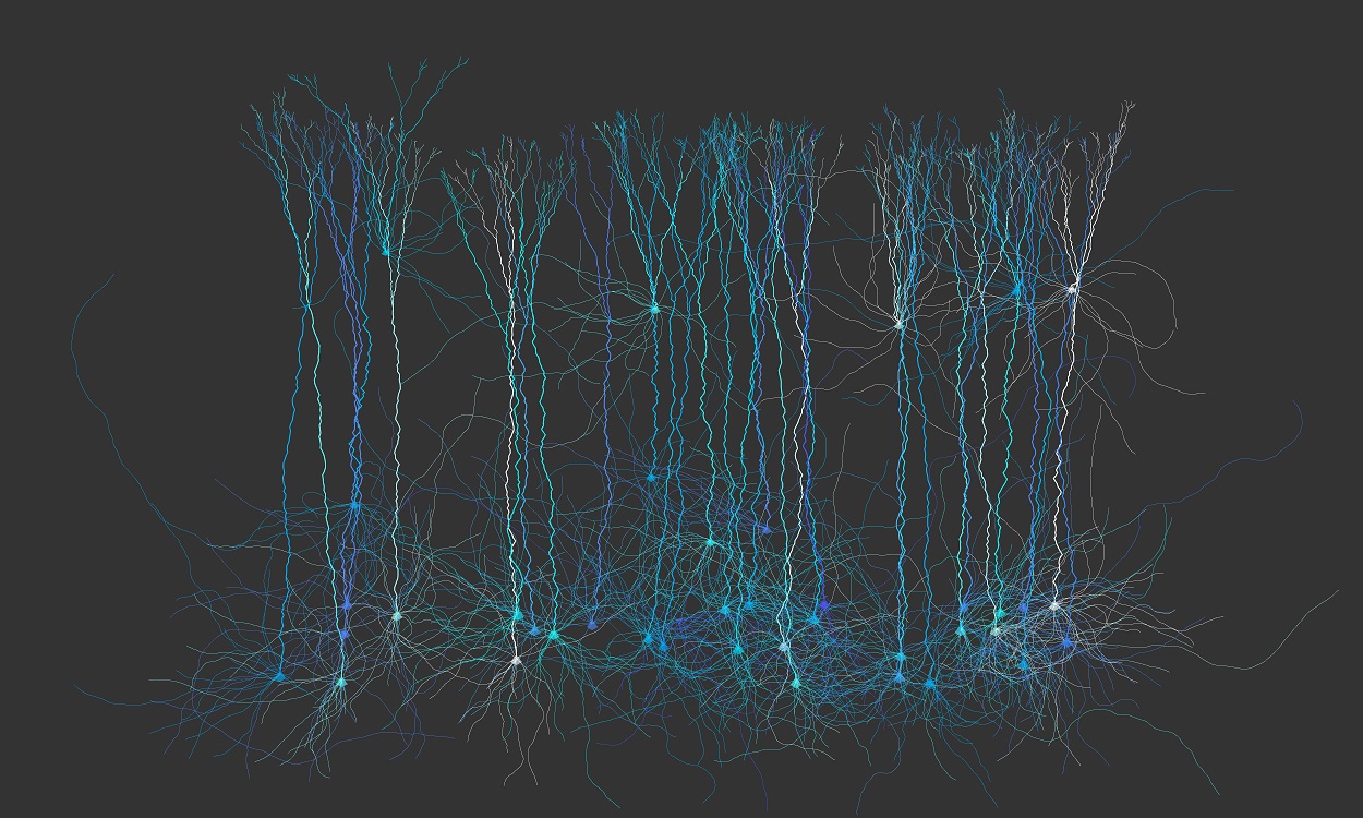 Figure 3: Neuroscience inspired art created with code.